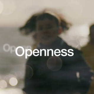 What is openness? The Nordics