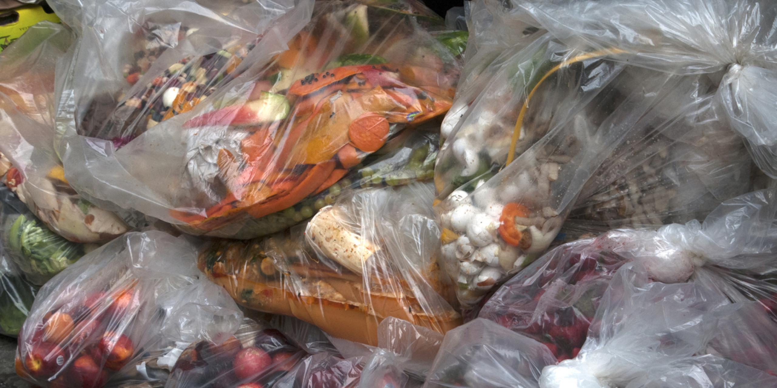 Solving the food waste-hunger paradox